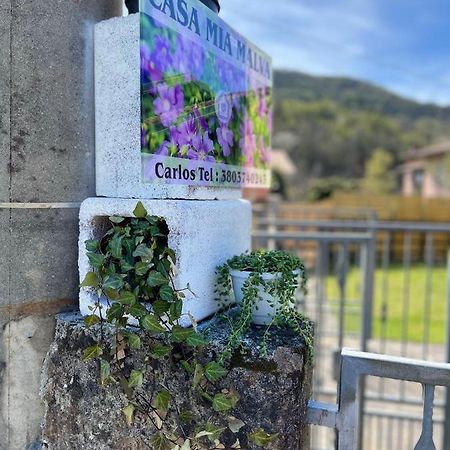 Casa Mia Malva Daire Riccò del Golfo di Spezia Dış mekan fotoğraf